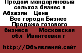 Продам мандариновый сельхоз-бизнес в Абхазии › Цена ­ 1 000 000 - Все города Бизнес » Продажа готового бизнеса   . Московская обл.,Ивантеевка г.